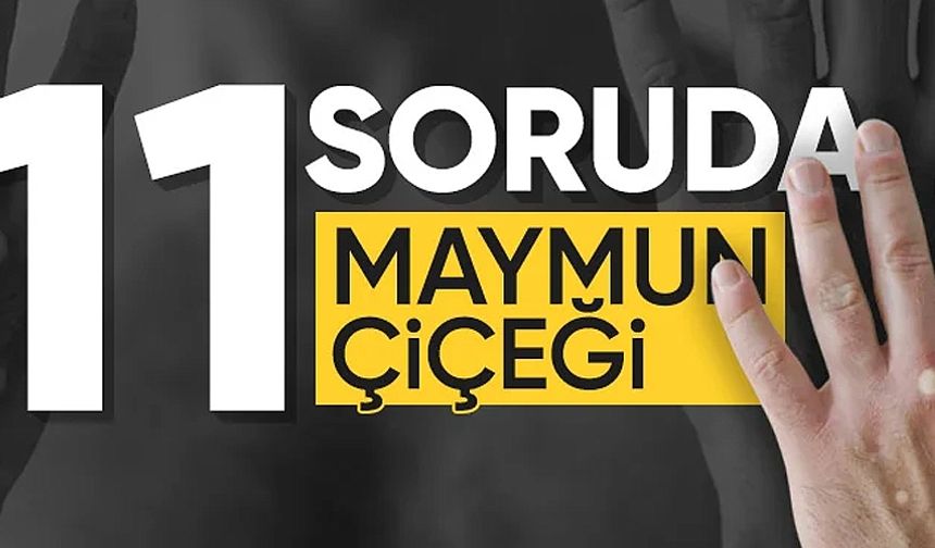 İşte 11 soruda maymun çiçeğiyle ilgili merak edilenler...