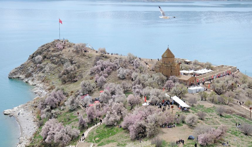 Van Badem Çiçeği Festivali’ne 30 bin kişi katıldı