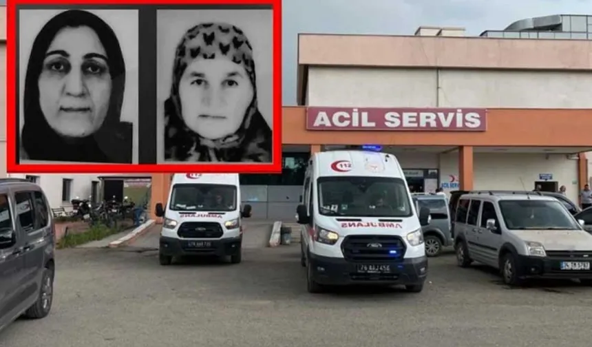 İki yengesini katletti: Kırsal arazide yakalandı