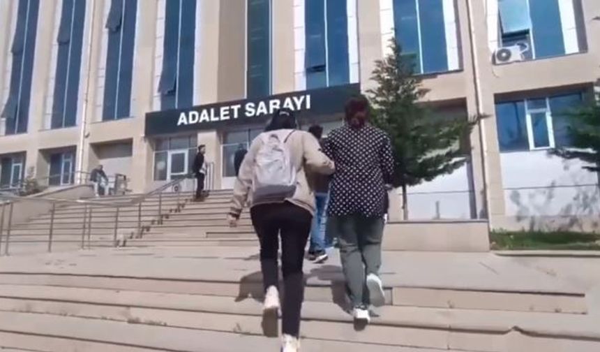 Van'da Polis Ekiplerinden Suç ve Suçlulara Yönelik Kapsamlı Operasyon