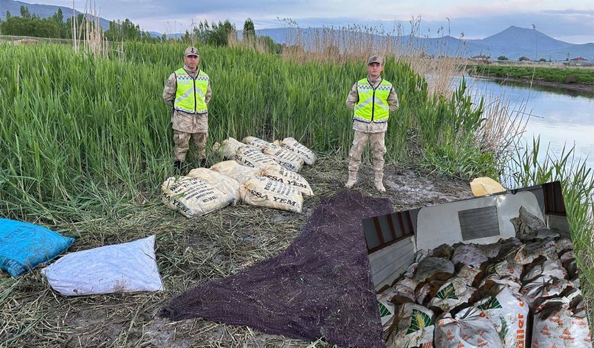 Van balığının kaçak avlanmasıyla mücadele sürüyor