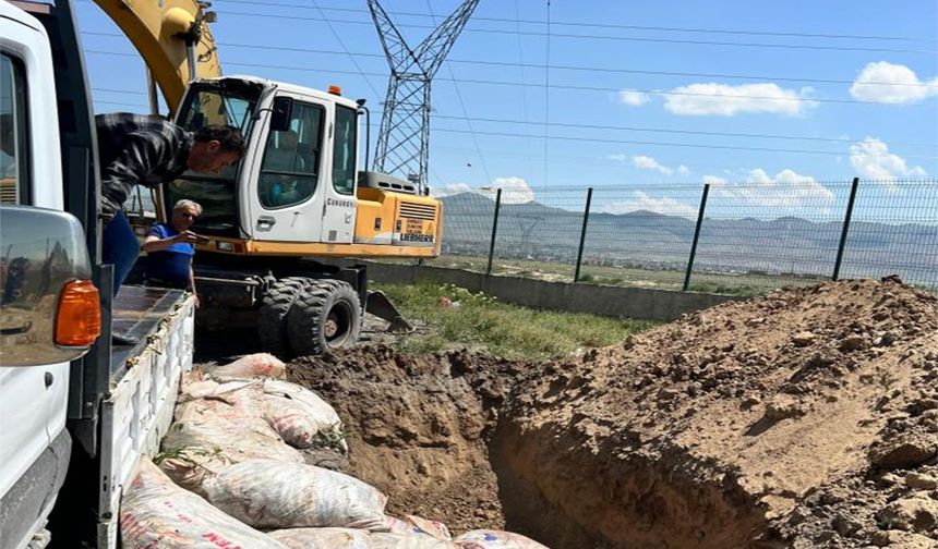 Van'dan kaçak avlanan balıklar Ağrı'da ele geçirildi