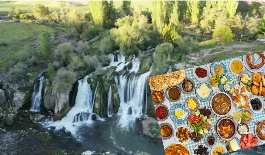 Van Kahvaltı Günü etkinliği Muradiye Şelalesi'nde...