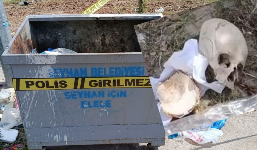 Çöp konteynerinden insan kafatası çıktı