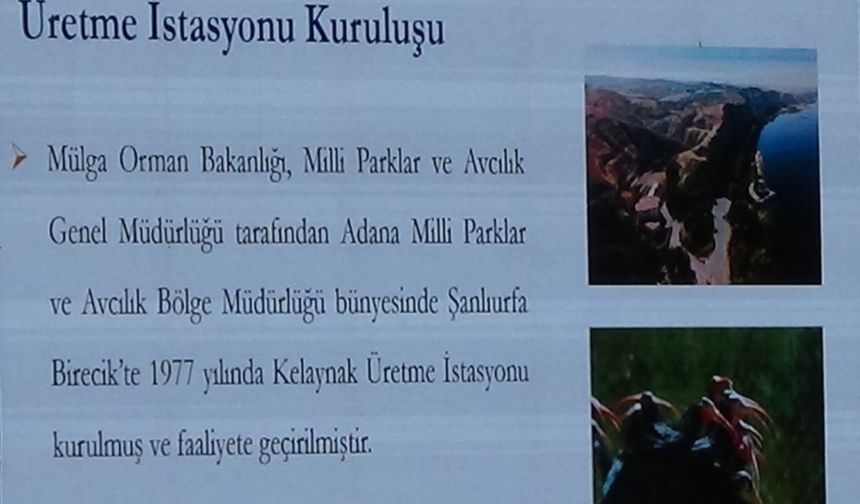 Van YYÜ'de, Ulusal Yaban Hayvanları Kongresi