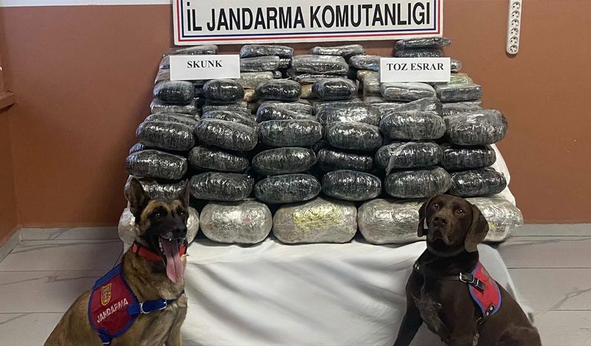 Van’da, Jandarma’dan uyuşturucu operasyonu…