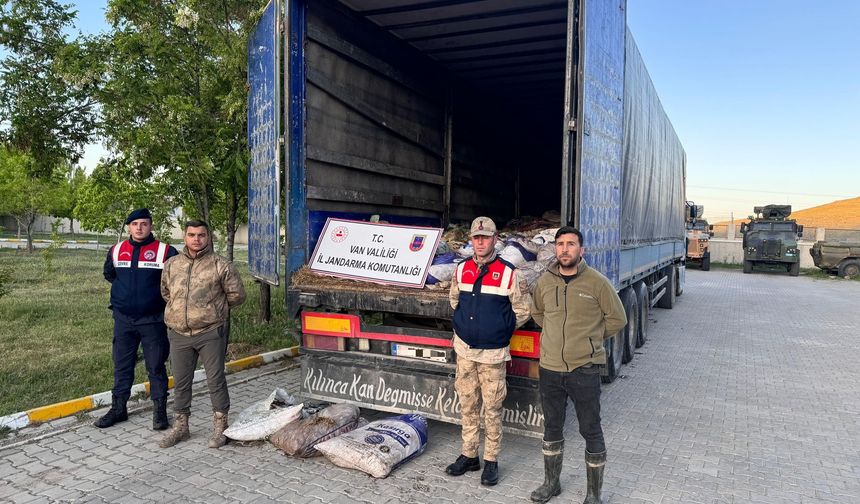 Van’da Jandarmadan Kaçak Avcılıkla Mücadele: Bir Haftada 22 Ton İnci Kefali Ele Geçirildi