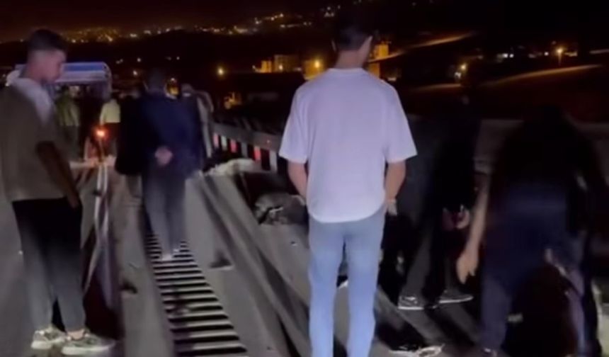 Van'da ticari kamyonet sürüye çarptı!