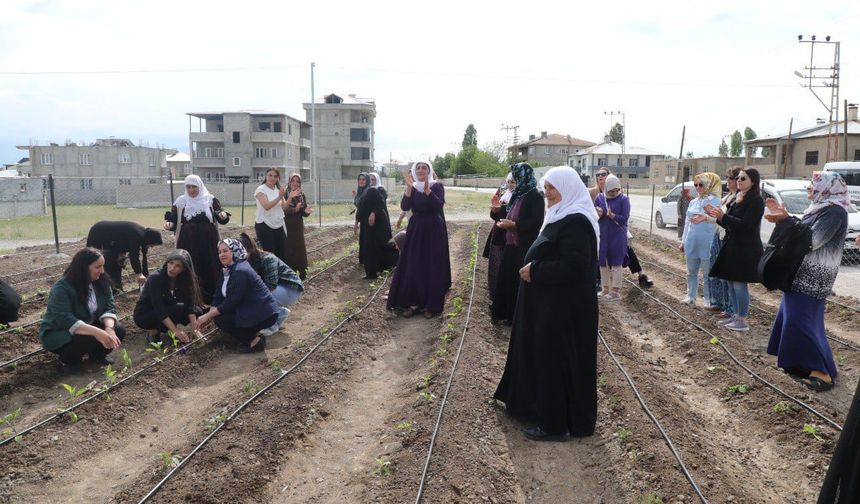 Tuşba Belediyesi "Xemê Akdoğan Kadın Kent Bostanı" Açıldı