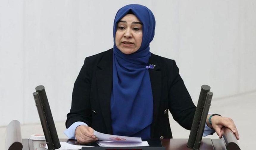 Van Milletvekili Rojin Kabaiş’i Meclis’e Taşıdı