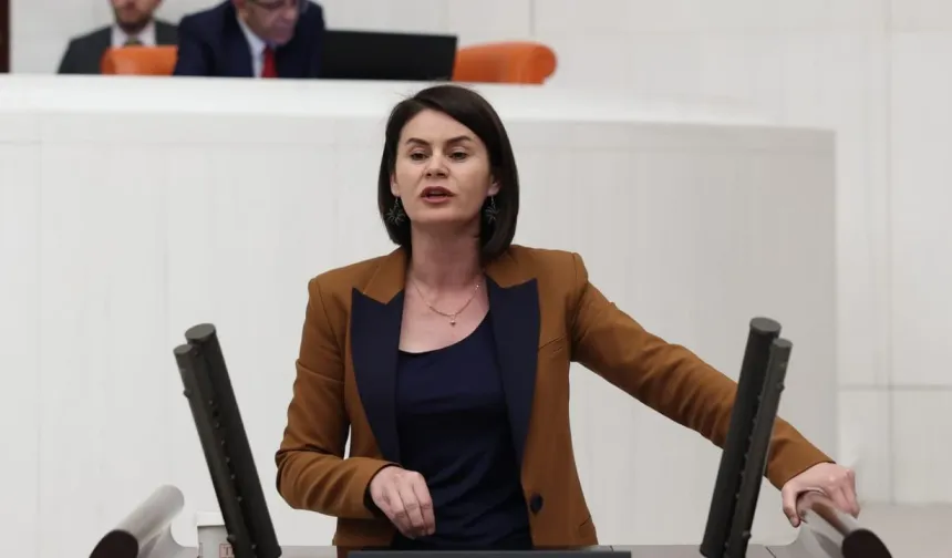 DEM Partili Sayyiğit: “Kurubaş Halkı Susuzluğa Mahkûm Edildi”