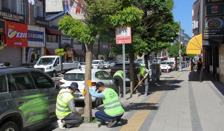 Van Büyükşehir Belediyesi’nden Yeşil Alanlarda Yoğun Mesai