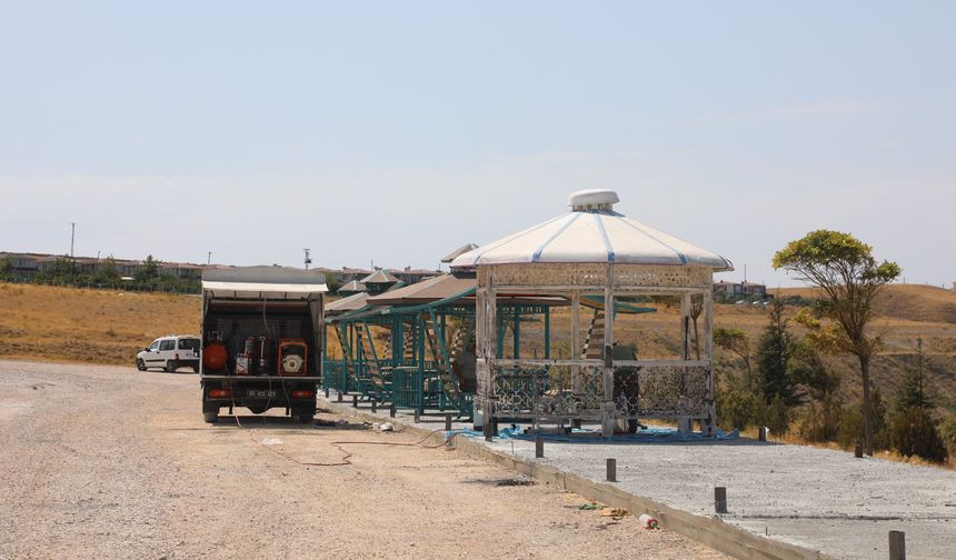 Mollakasım Sahili’ne Yeni Kamelyalar Kazandırıldı