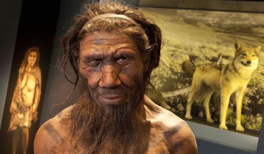 Homo sapiens ve Neandertaller, Avrupa'ya Ayvalık üzerinden gitmiş