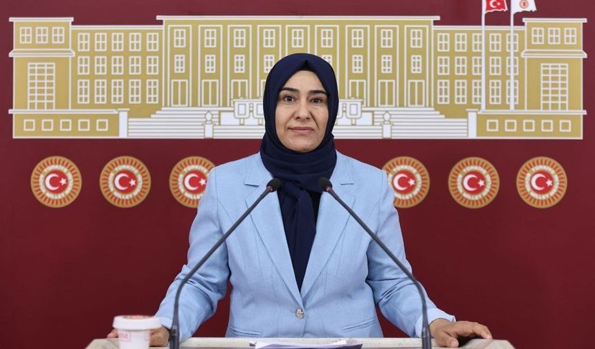 DEM Partili Varlı'dan Kayyım Eleştirisi: "Su Krizi ve Altyapı Sorunları Büyüyor"
