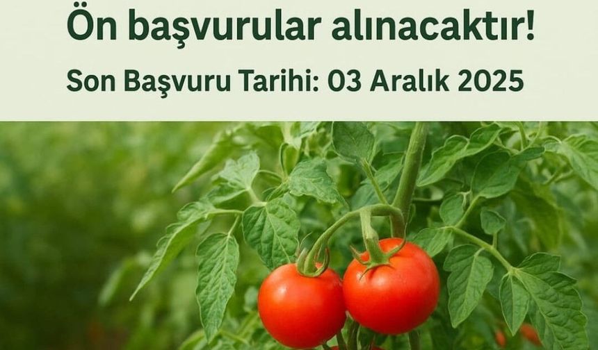 Van Muradiye’de Domates Yetiştiriciliği Projesi İçin Ön Başvurular Başladı