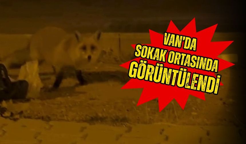 Van'da gece yarısı görüldü! Halk panikte