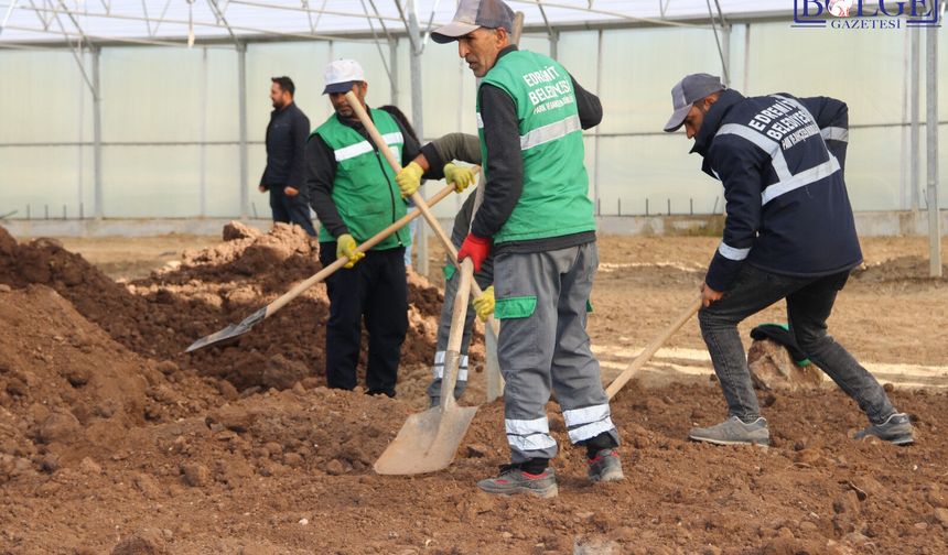 Van Edremit Belediyesi yeni dönem için serasını yeniliyor