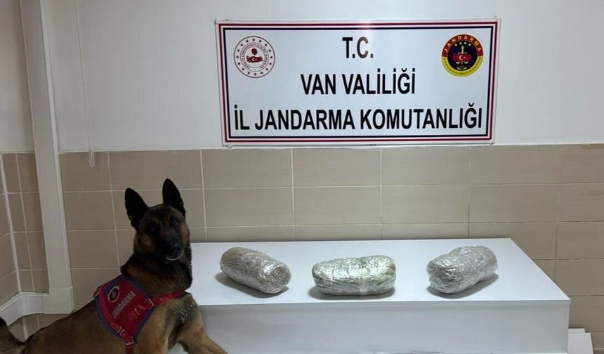 Van Gevaş’ta Yol Kontrolünde 3 Kilo Esrar Ele Geçirildi