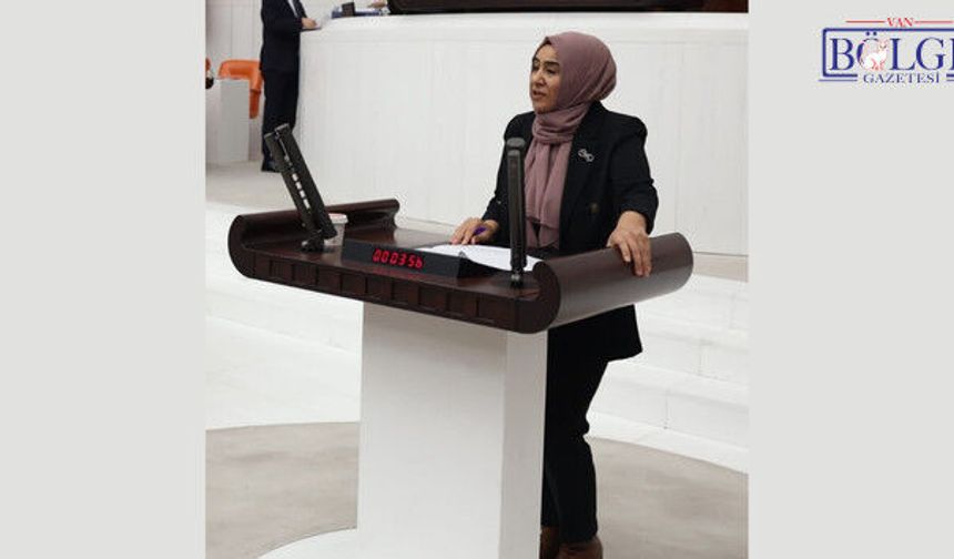 DEM'li Vekil Varlı, İktidarın Maaş Artış Politikalarını Sert Sözlerle Eleştirdi!
