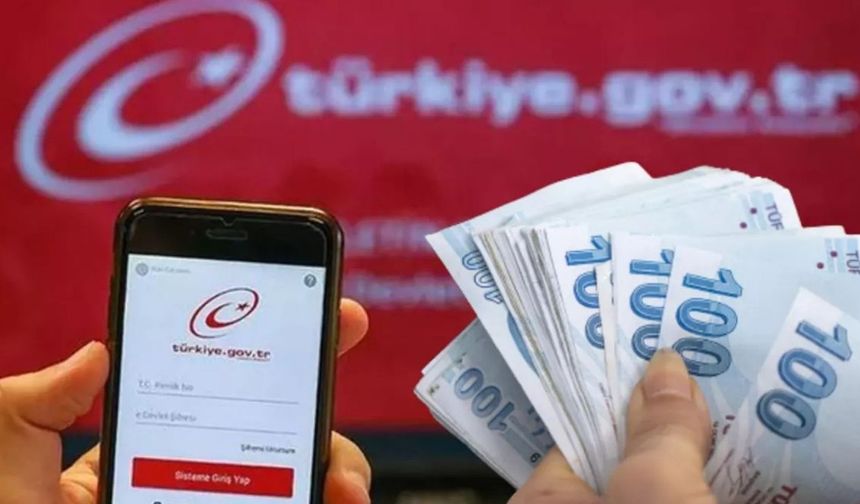 E-Devlet'te Tek Tıkla Para Sorgulama Dönemi: Hesabınızda Unutulan Para Olabilir!