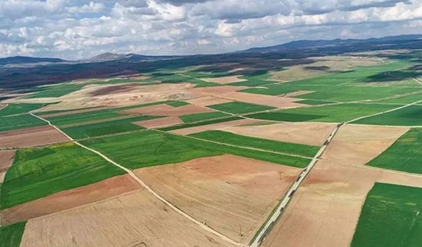 Van’da 78 Dönümlük Arsa 1 Milyon 600Bin TL'ye İcradan Satışta
