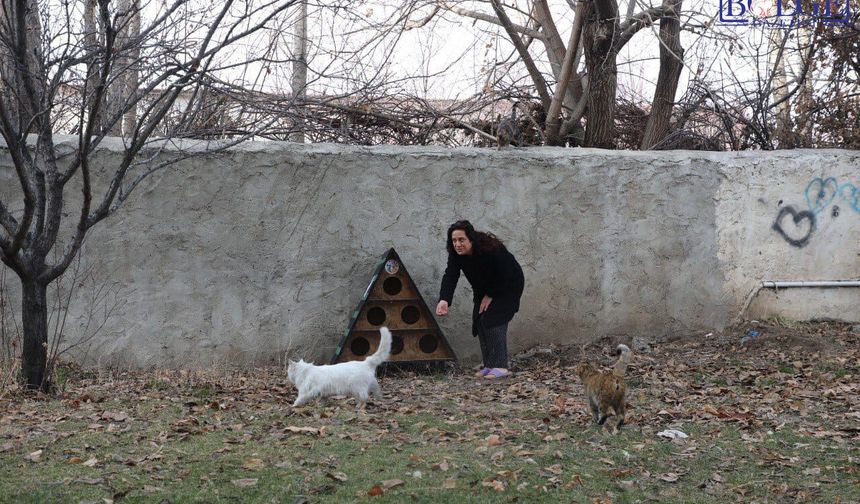 Tuşba Belediyesi’nden Sokak Hayvanları İçin Örnek Davranış
