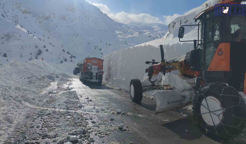 Van’da Çığ Temizleme Çalışması Yapan İş Makinesi Şarampole Yuvarlandı
