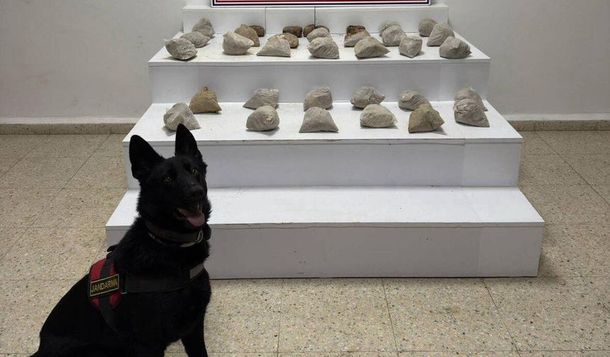 Van Başkale’de Jandarmadan Narkotik Operasyonu: 24 Kilo Eroin Ele Geçirildi