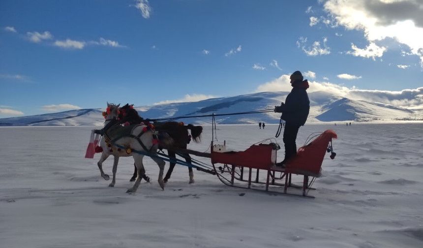 Çıldır Gölü’nde atlı kızak heyecanı başladı