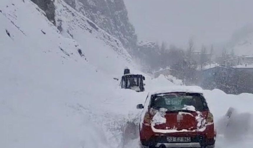 Van'da Çığ Paniği: Sürücü Son Anda Kurtuldu