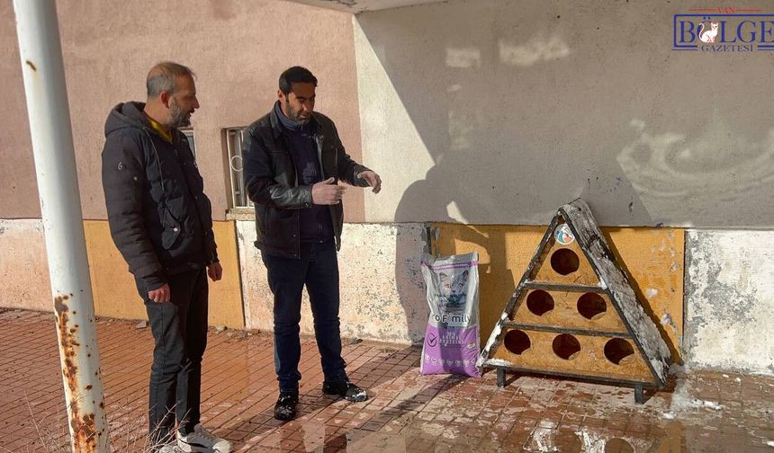 Van Tuşba’da Sokak Hayvanlarına Özel Barınak ve Mama Çalışması