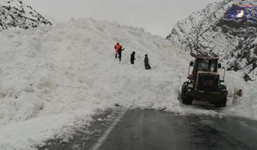 Van–Çatak Yolunda Çığ Tehlikesi Sürüyor: Mahalleler Boşaltıldı