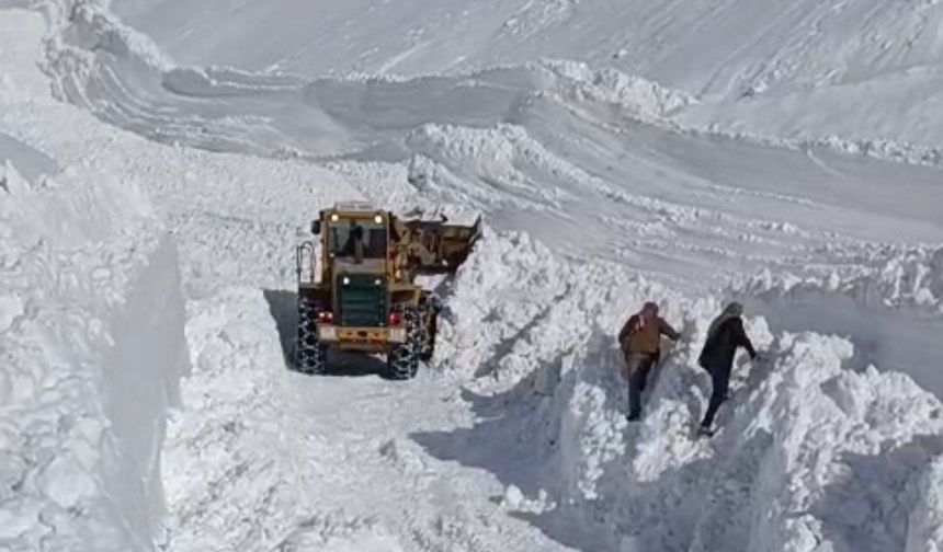 Van Bahçesaray’da Çığ Nedeniyle Ulaşım Aksadı