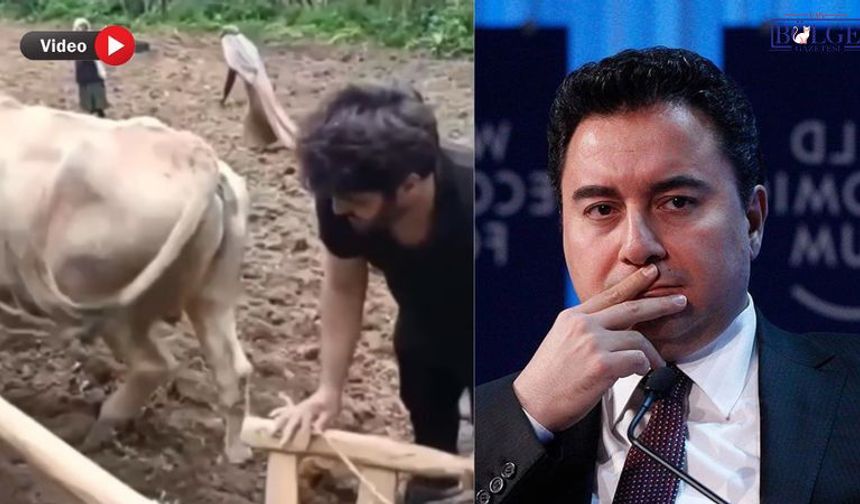 Ali Babacan Van Bahçesaray’da Çiftçilerin Yaşadığı Zorlukları Anlattı