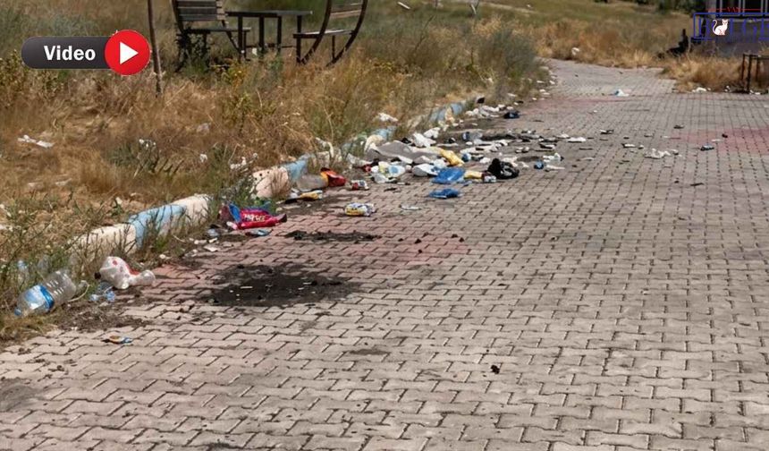 Van'ın Mavi Bayraklı plajında tepki çeken görüntüler