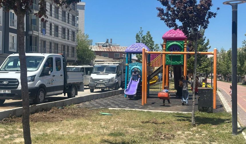 Van'da Çocuklar Trafiğin Kıyısında Oynuyor