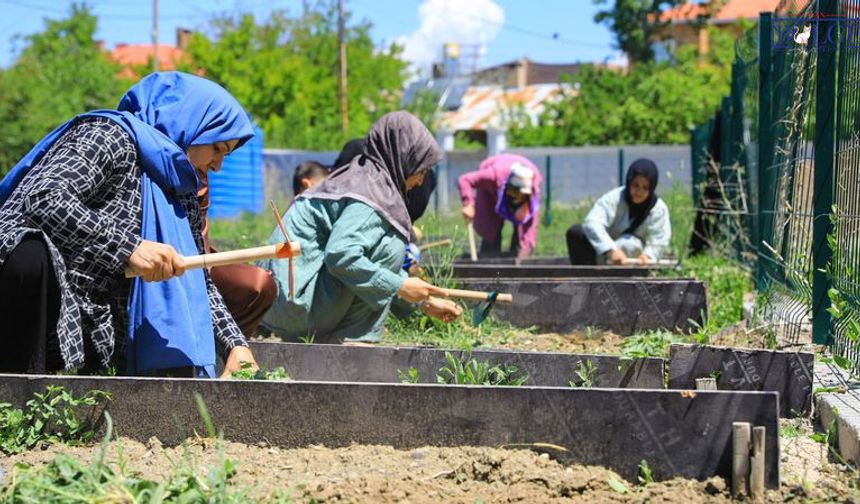 Van'da Kadın Bostanında Fide Dikimi Başladı: 10 Kadın Üretimden Faydalanacak