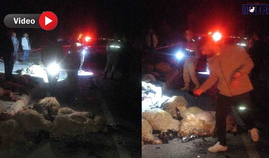 Van’da Gece Yarısı Otomobil Sürüye Daldı, Çok Sayıda Koyun Telef Oldu
