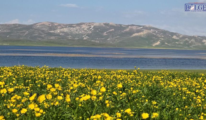 2 bin yıllık Keşiş Gölü'nde yağmur sonrası görsel şölen