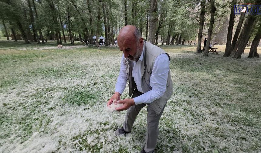 Van'da bu kez kar değil polen yağdı