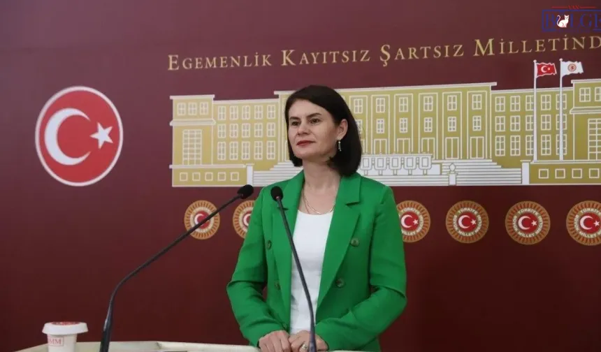 DEM Partili Kaçmaz Sayyiğit’ten Hızlı Tren Tepkisi: “Van Neden Yine Yok?”