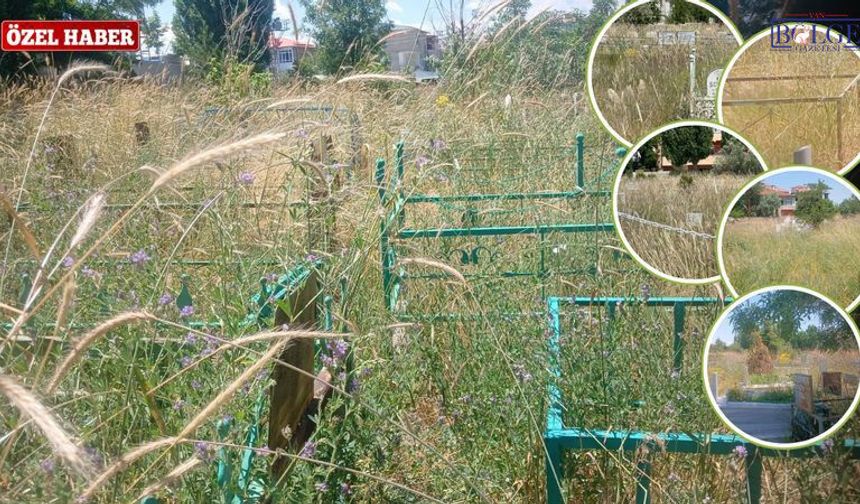 Van’da mezarlık ziyareti çileye dönüştü: Otlar arasında yakınlarını arıyorlar
