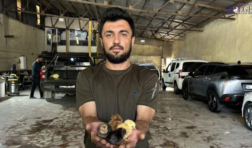 Bir Belgeselden Fabrika Hayaline Uzanan Yolculuk