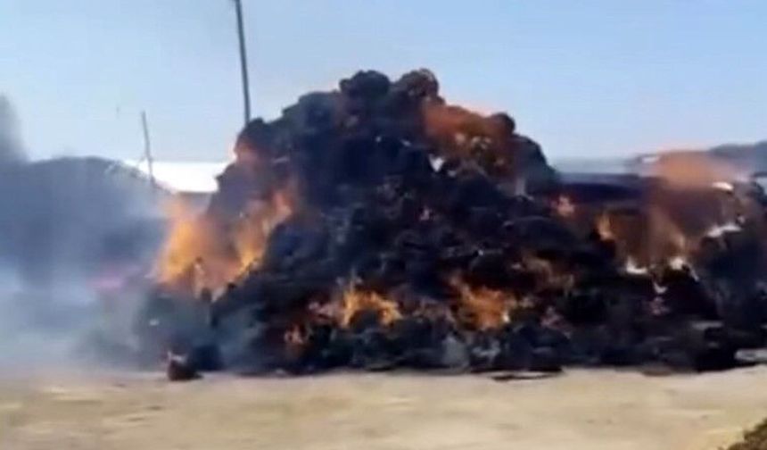 Alevler dakikalar içinde kül etti! Çiftçinin aylarca biriktirdiği ot balyaları yok oldu