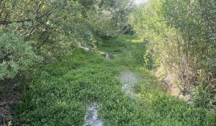 "Van'ın Geleceği Betonda Değil, Doğasında Saklı"