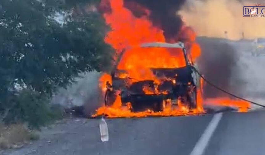 Van-Erciş karayolunda seyir halindeki otomobil alev aldı