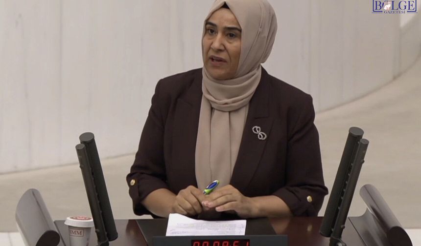 Dem Parti Van Milletvekili Gülderen Varlı TBMM’de Torba Yasayı Eleştirdi