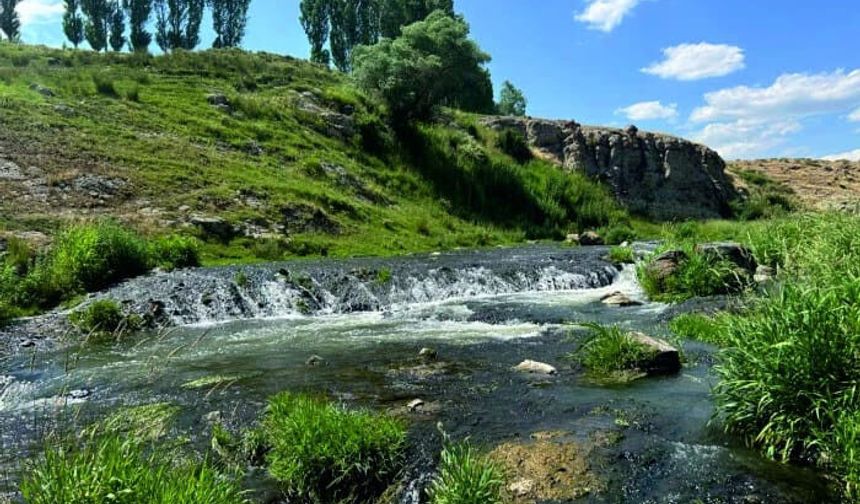 Van'da Kaçak Avcılar Gitti, İnci Kefali Gidemedi
