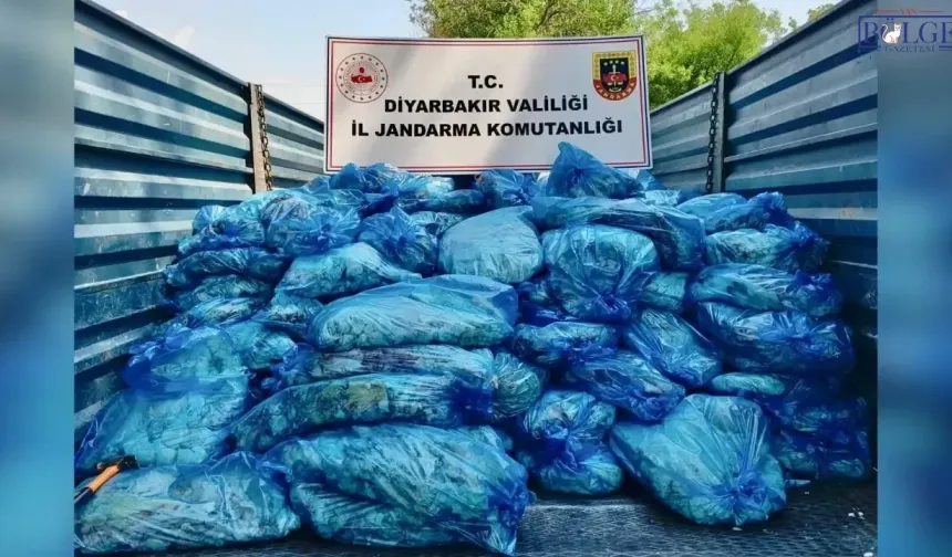 3 ton sağlıksız hayvansal iç yağ ele geçirildi